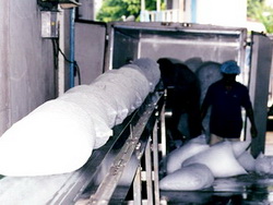 Ice Conveyor