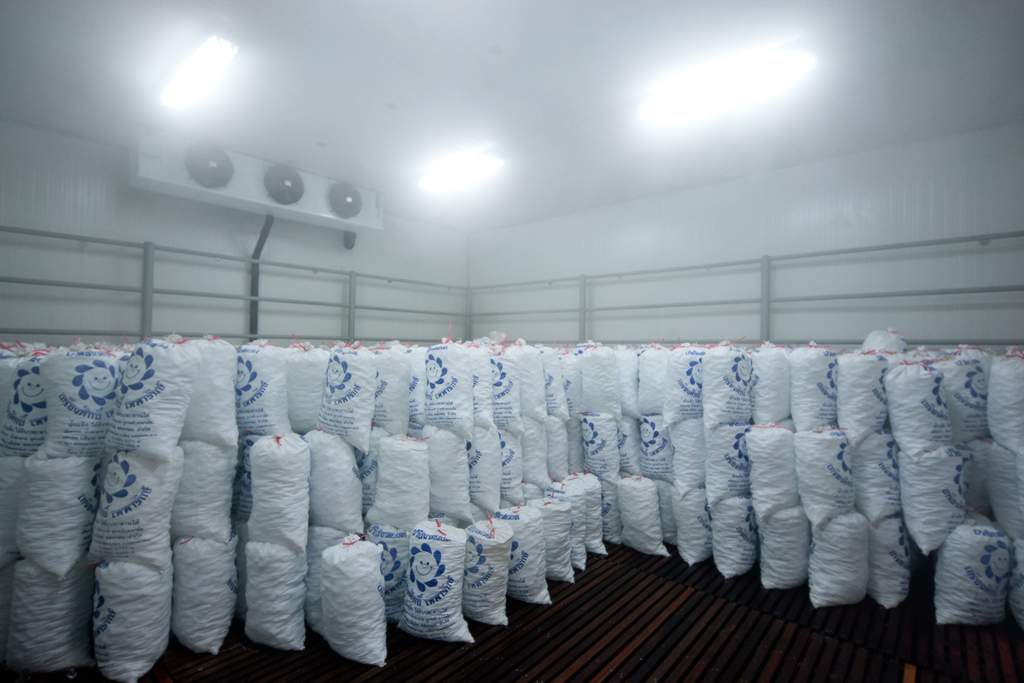 Ice Storage Room – PatKol ice making, Cold Storage, Meat Processing, Frozen  Food, Dairy Product