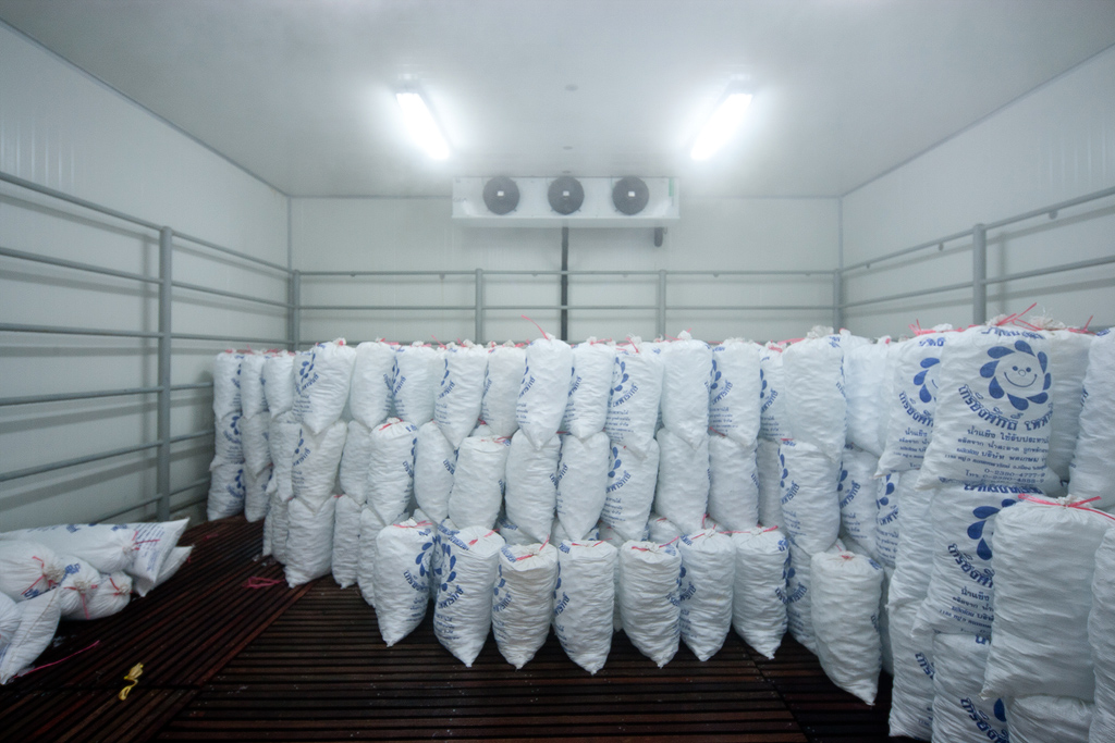 Ice Storage Room – PatKol ice making, Cold Storage, Meat Processing, Frozen  Food, Dairy Product